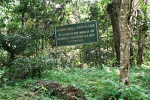 Anamudi_Shola_National_Park