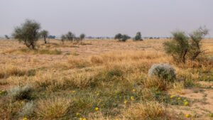 Desert_National_Park_