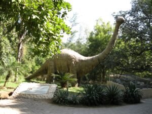  Dinosaur_and_Fossil_Park.