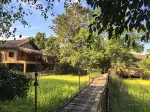Kaziranga national park diphulu river lodge