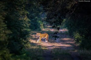 Dudhwa National Park