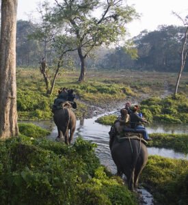 Jaldapara National Park