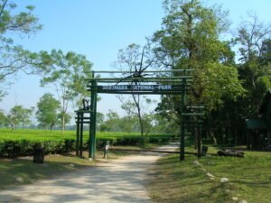 Gorumara National Park 