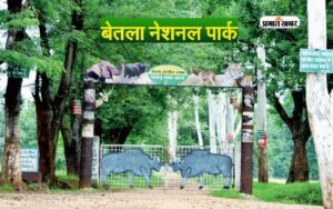 Jharkhand-Tourist-Destinations-explore-the-tourist-destinations-of-betala-national-park