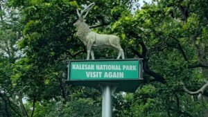 Kaleshwar_National_Park