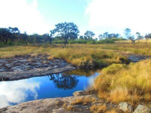  Phawngpui_national_park