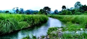 Raimona national park