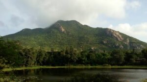 Simlipal_tiger_reserve 