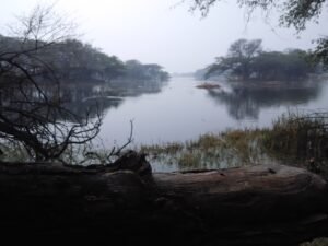 Sultanpur_Bird_Sanctuary_Gurgaon-