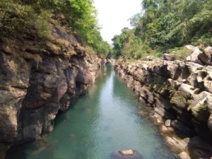 Balphakram National Park