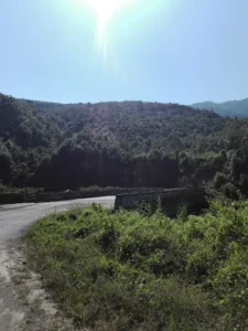 Murlen national park