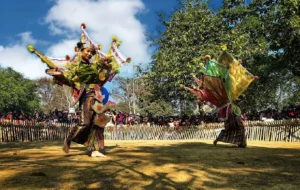 Peacock dance chandubi festival 