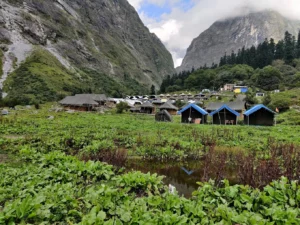 Nanda Devi National Park
