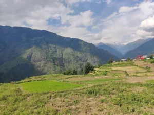 Govind Pashu Vihar National Park