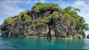 Smallest National Park in India: South Button Island