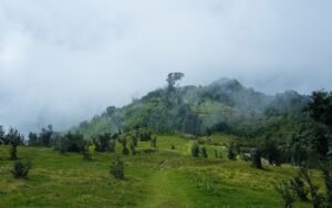 singalala national park