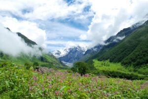 Valley Of Flower National Park