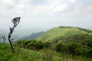 Siroy_National_Park_Manipur