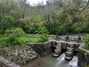 Dachigam_National_Park