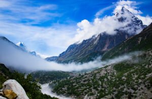 Gangotri National Park
