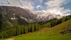 Himalayn_National_Park