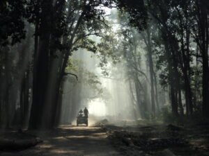 Jim Corbet National Park