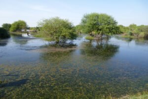 Keoladeo_National_Park