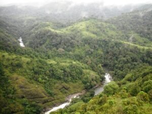 Kundhi_River_@_Silent_Valley_National_Park