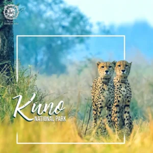 Kuno-national-park.