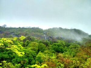 Sanjay_Gandhi_National_Park