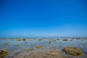 Marine_National_Park