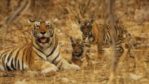 Indrvati National Park