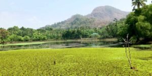 salim ali bird sanctuary