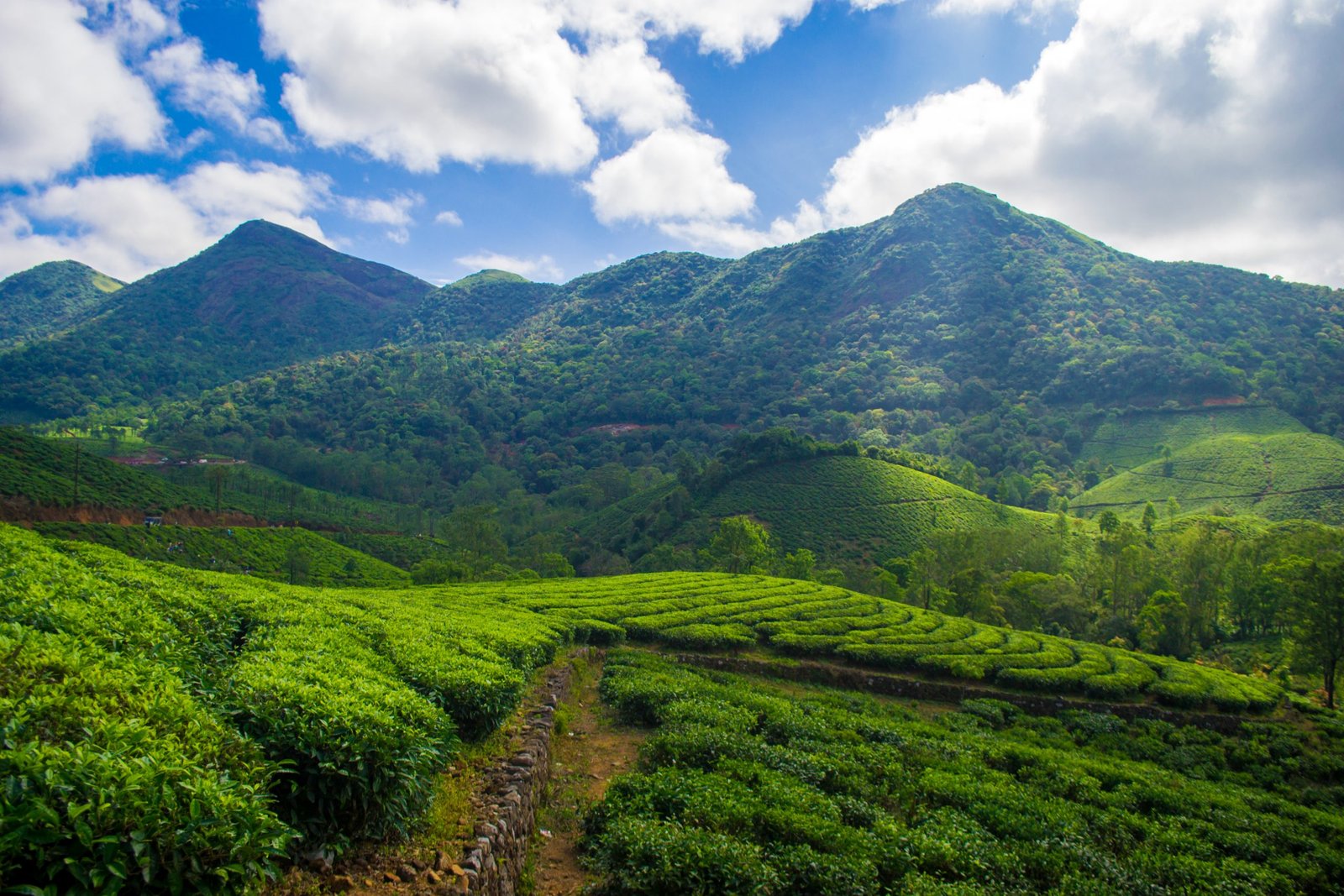 top 10 best places to visit in June in South India.